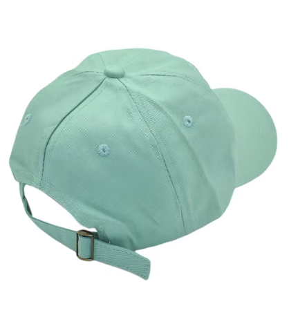 Bulbasaur Embroidered Baseball Hat